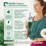 Biophix Spiruline en poudre – doseur inclus, pratique pour doser vos préparations.
