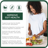 BIOptimizers Probiotic Breakthrough – soutien digestif et équilibre intestinal et mental