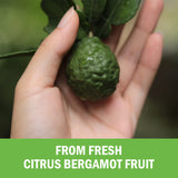 BioSchwartz Citrus Bergamot – fruits de bergamote frais évoquant l’origine naturelle.