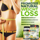 BioSchwartz Garcinia Cambogia – etiquette lisible démontrant qualité et concentration élevée