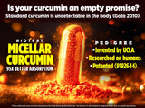 Biotest Curcumine Micellaire : étiquette détaillant la technologie brevetée et le dosage.