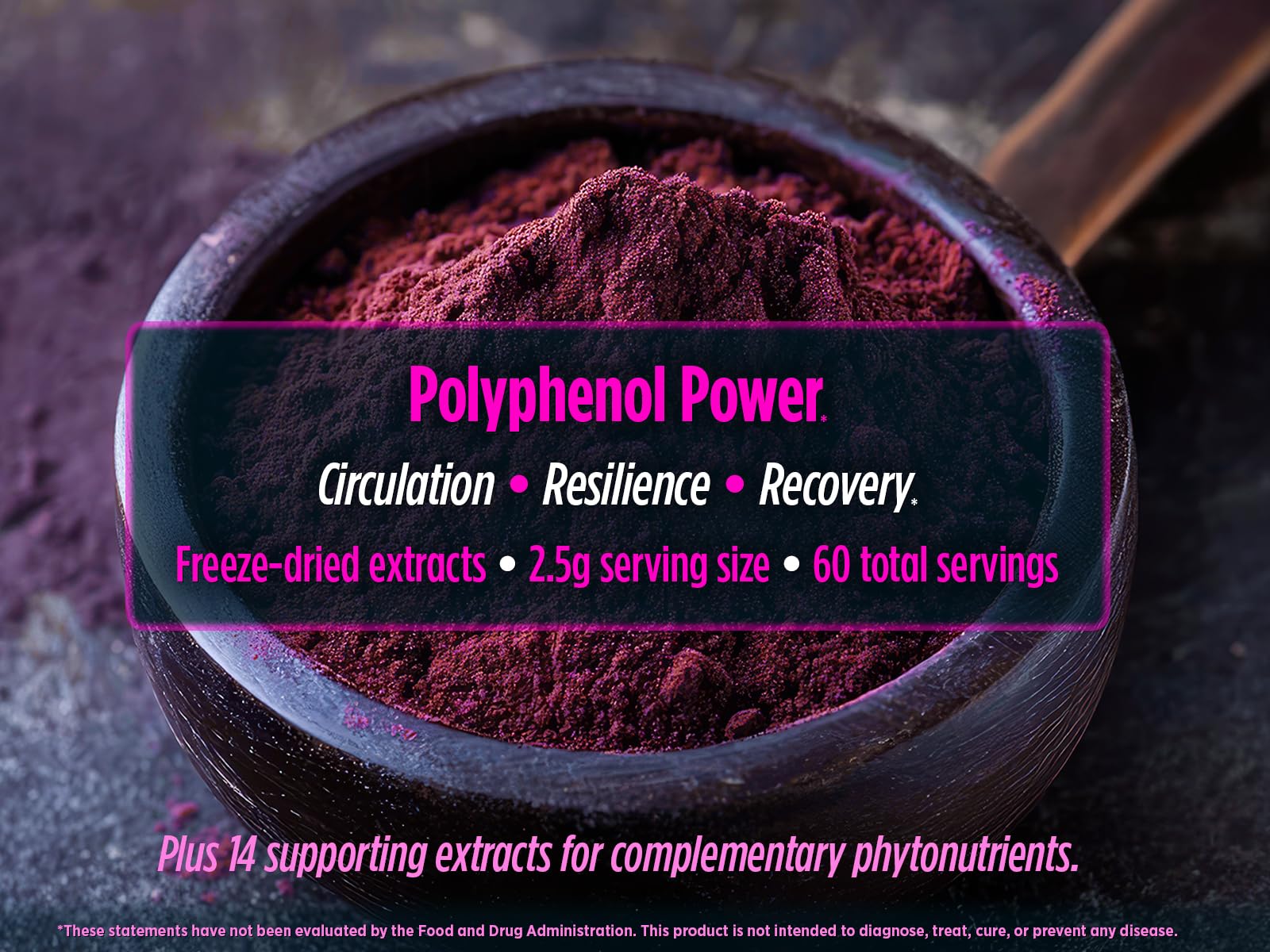 Bocal Biotest Superfood Berry-Dense, stockage pratique et hygiénique des polyphénols.