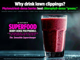 Cuillère-dose Biotest Superfood Berry-Dense, mesure précise pour chaque portion.