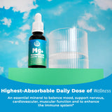Biotoplevel Gouttes Magnesium: gouttes sous-langue favorisant biodisponibilité potentielle.