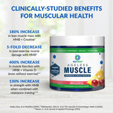 BioTrust Ageless Muscle adapté pour hommes et femmes recherchant maintien musculaire.