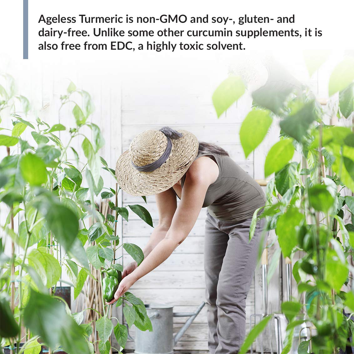 BioTrust Ageless Turmeric ingrédients – composition sans allergènes majeurs et sans EDC.