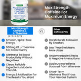 BioWisdom Max Strength étude énergie durable pour les séances d'étude