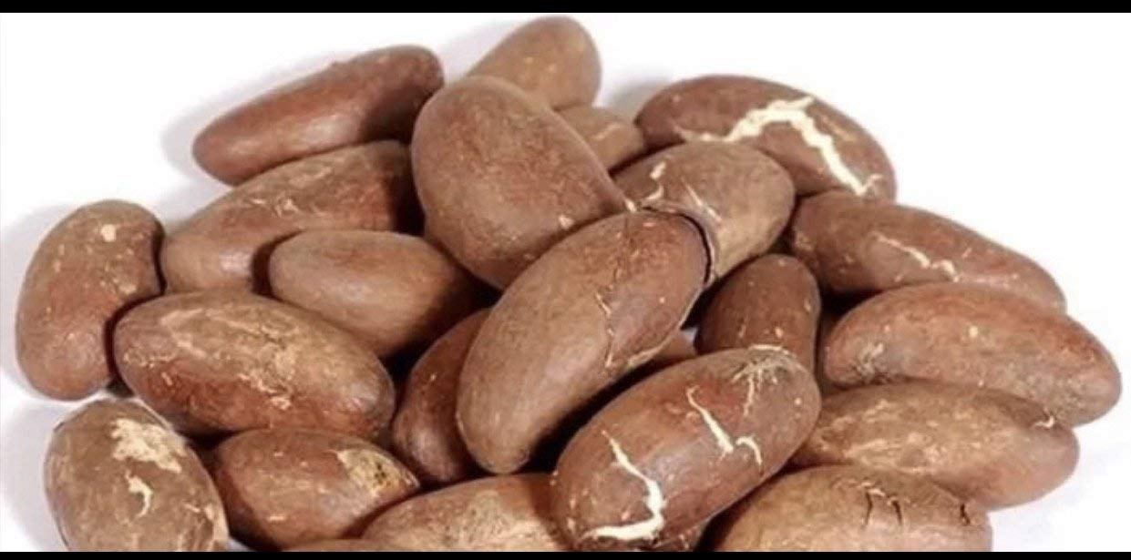 Bitter Kola Nut, emballage du produit, saveur amère et polyvalente