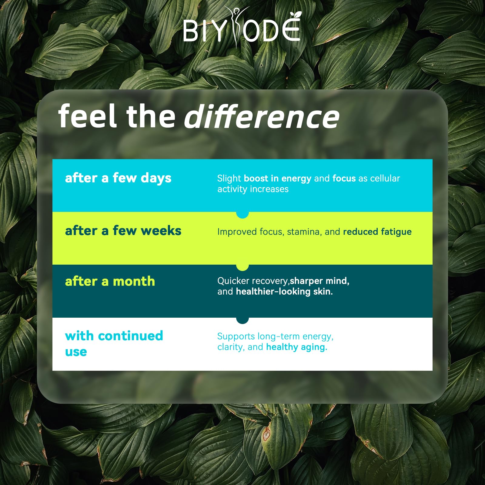 BIYODE – 80 capsules pour 40 jours de routine bien-être