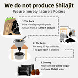 BIYODE Shilajit Gummies acide fulvique, nutriments essentiels