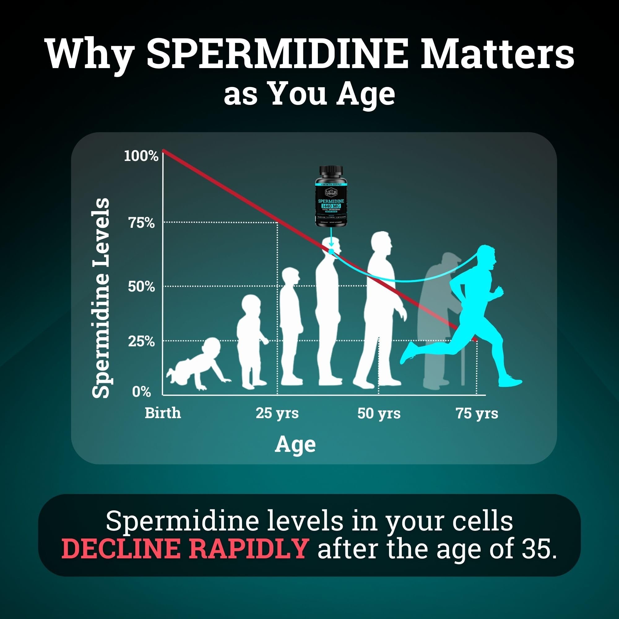 Black Forest Spermidine – capsules utilisées dans la routine matin et soir.