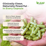 Close-up sur les capsules soutien des nutriments quotidiens grâce à la moringa.