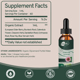 Ingrédients clés échinacée bardane sureau pour vitalité naturelle.