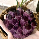 BLOCKv Améthyste brute, pièce de collection minérale, idéale pour méditation.