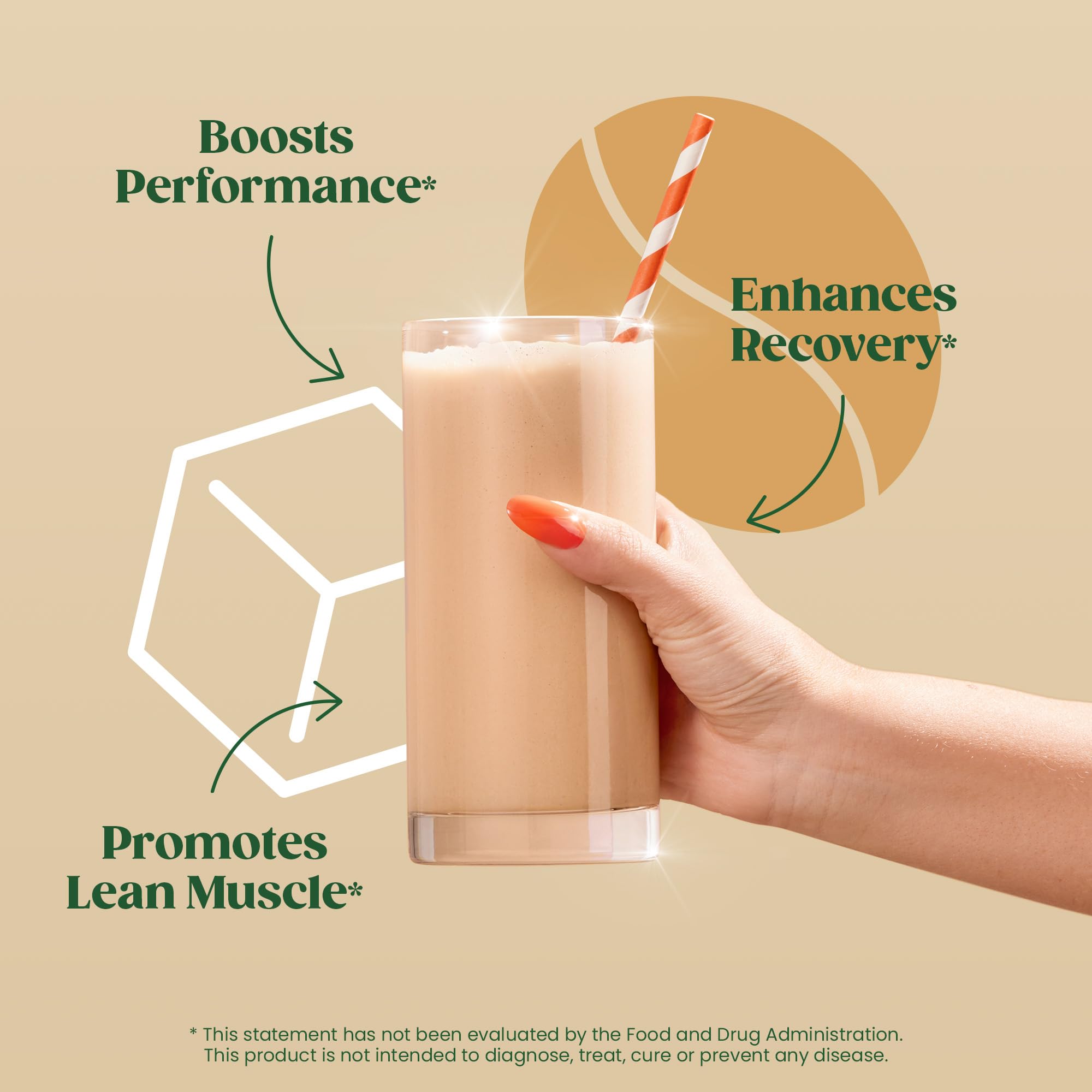 Bloom Nutrition enzymes digestives facilitant l’absorption des nutriments après l’entraînement