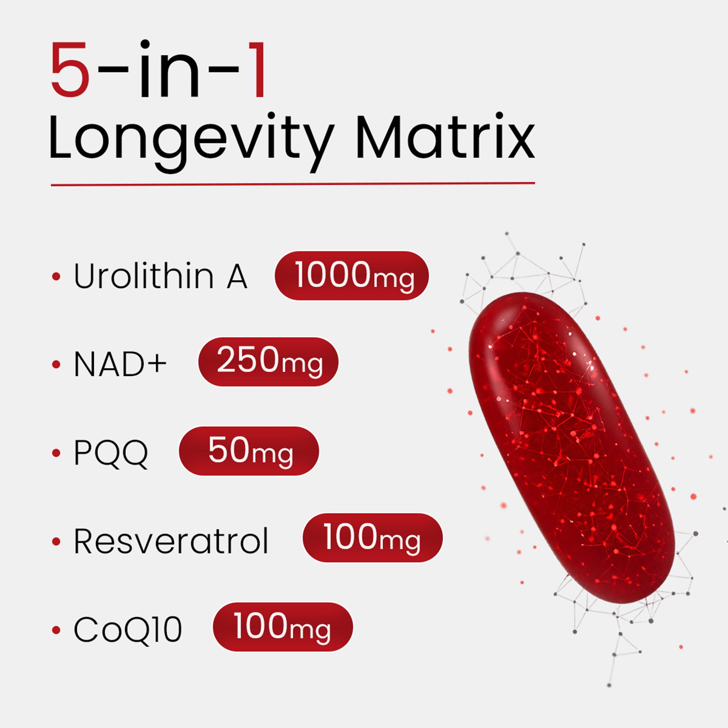 Bloomeo Urolithin A : schéma des ingrédients et antioxydants.
