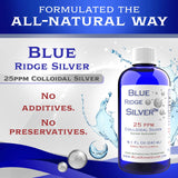 Contrôle qualité Blue Ridge Silver pour une norme fiable.
