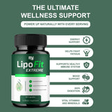 BLUE VIBE Lipofit Extreme – mode d’emploi quotidien visuel.