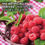 BlueBonnet EarthSweet B12 framboise — boîte de 60 tablettes, portions pratiques.
