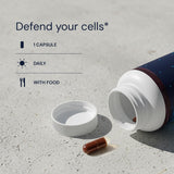 Capsules véganes propres Blueprint Bryan Johnson, sans fillers inutiles.