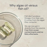 Forme triglyceride haute absorption Omega-3 Blueprint Bryan Johnson