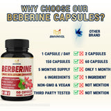 BMVINVOL artichaut en capsules, formulation harmonieuse pour votre routine.