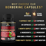 BMVINVOL Berberine - artichaut et bien-être digestif