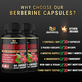 BMVINVOL Chardon-Marie capsules: soutien quotidien pour une routine saine.