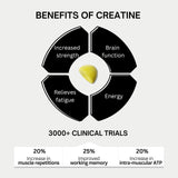 Gommes Bod Creatine saveur citron : goût frais et énergie potentielle