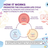 Body Kitchen Beaute Jeunesse Avancee, peptides de collagene enrichis, peut aider a entretenir cheveux et ongles.