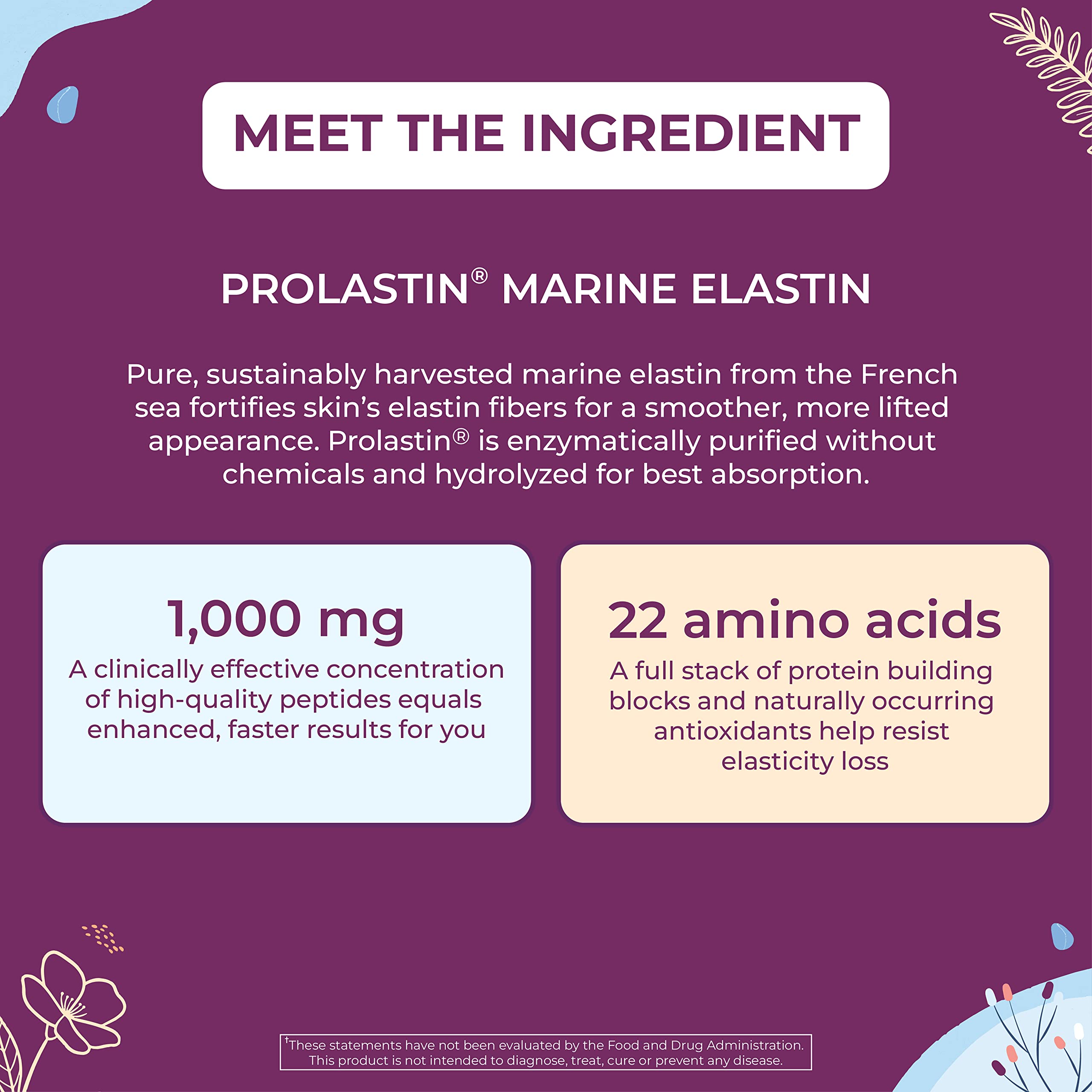 Body Kitchen Pro-Elastin: ingrédients et sourcing mondiaux pour la transparence.