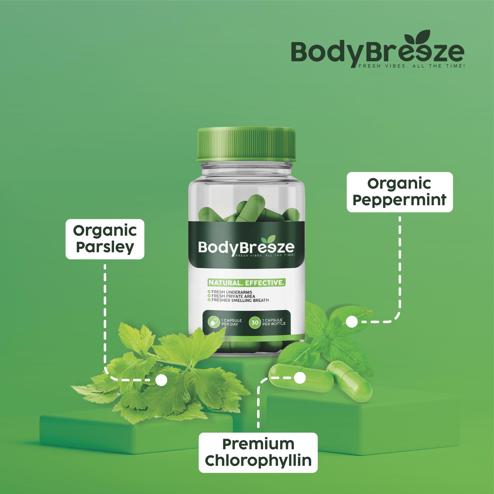 BodyBreeze: capsules vertes faciles à prendre pour soutenir la digestion.
