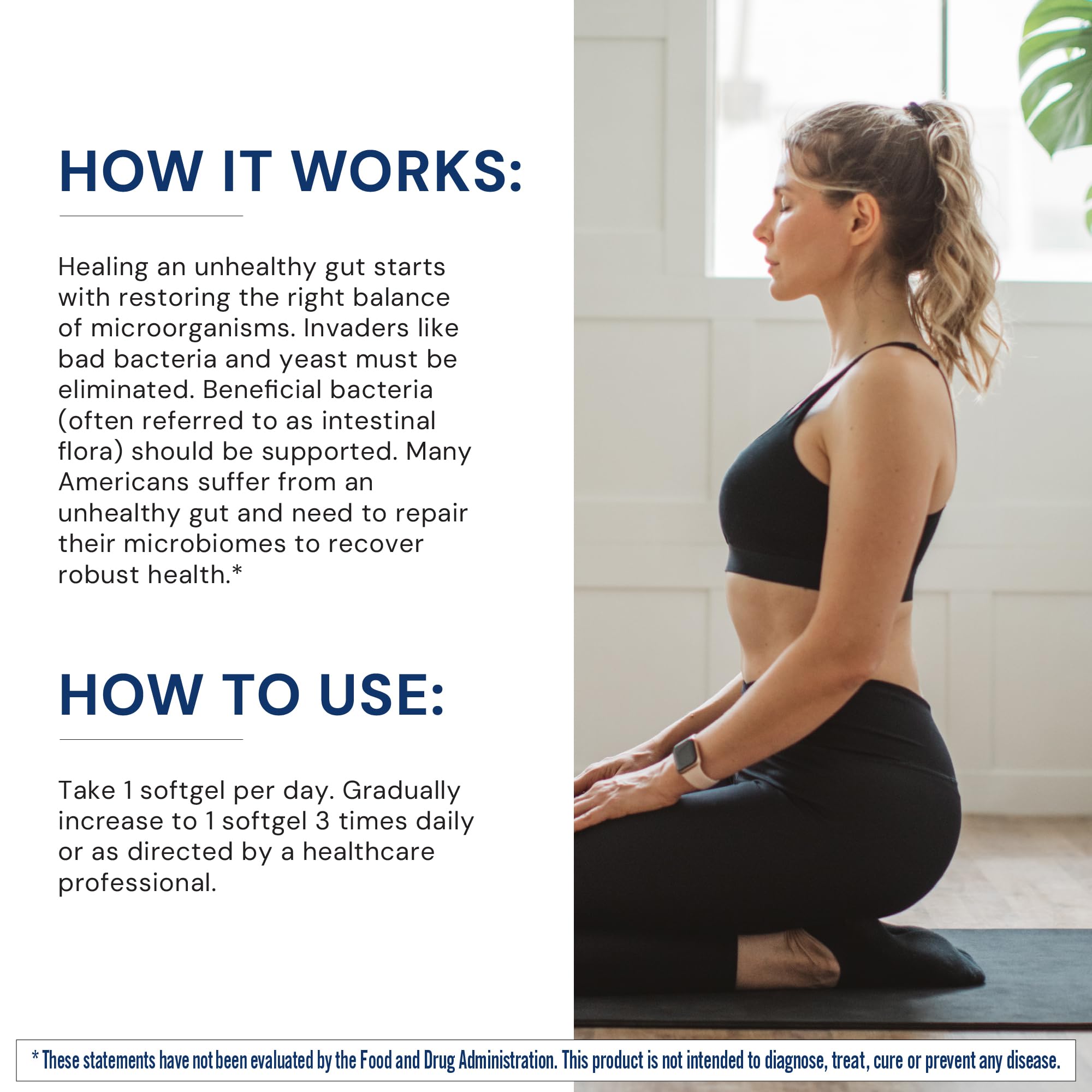 BodyHealth Barrière intestinale soutenue : intégrité gastro-intestinale et équilibre.