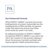 BodyHealth PerfectAmino – énergie et endurance potentielles durant les entraînements.