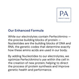 BodyHealth PerfectAmino électrolytes soutiennent l'énergie pendant l'entraînement.