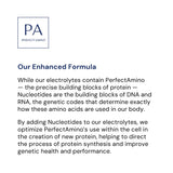 BodyHealth PerfectAmino Électrolytes – idéal pour la récupération après entraînement.