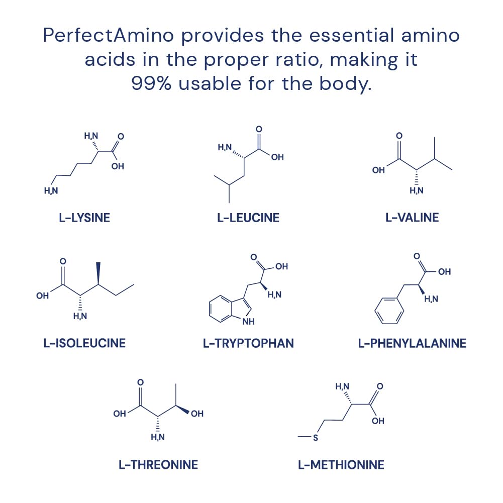 BodyHealth PerfectAmino – post-entraînement, aide à la récupération musculaire et au maintien de la masse.