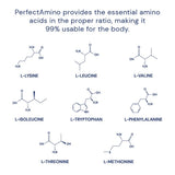BodyHealth PerfectAmino – post-entraînement, aide à la récupération musculaire et au maintien de la masse.