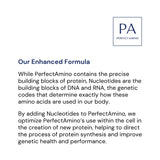 BodyHealth PerfectAmino Poudre énergie et endurance pour vos entraînements.