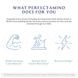 BodyHealth PerfectAmino pré/post entraînement, énergie et endurance potentielles.