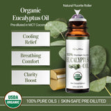 BodyJ4You Eucalyptus Roll-On, pierre fluorite naturelle pour une application précise.