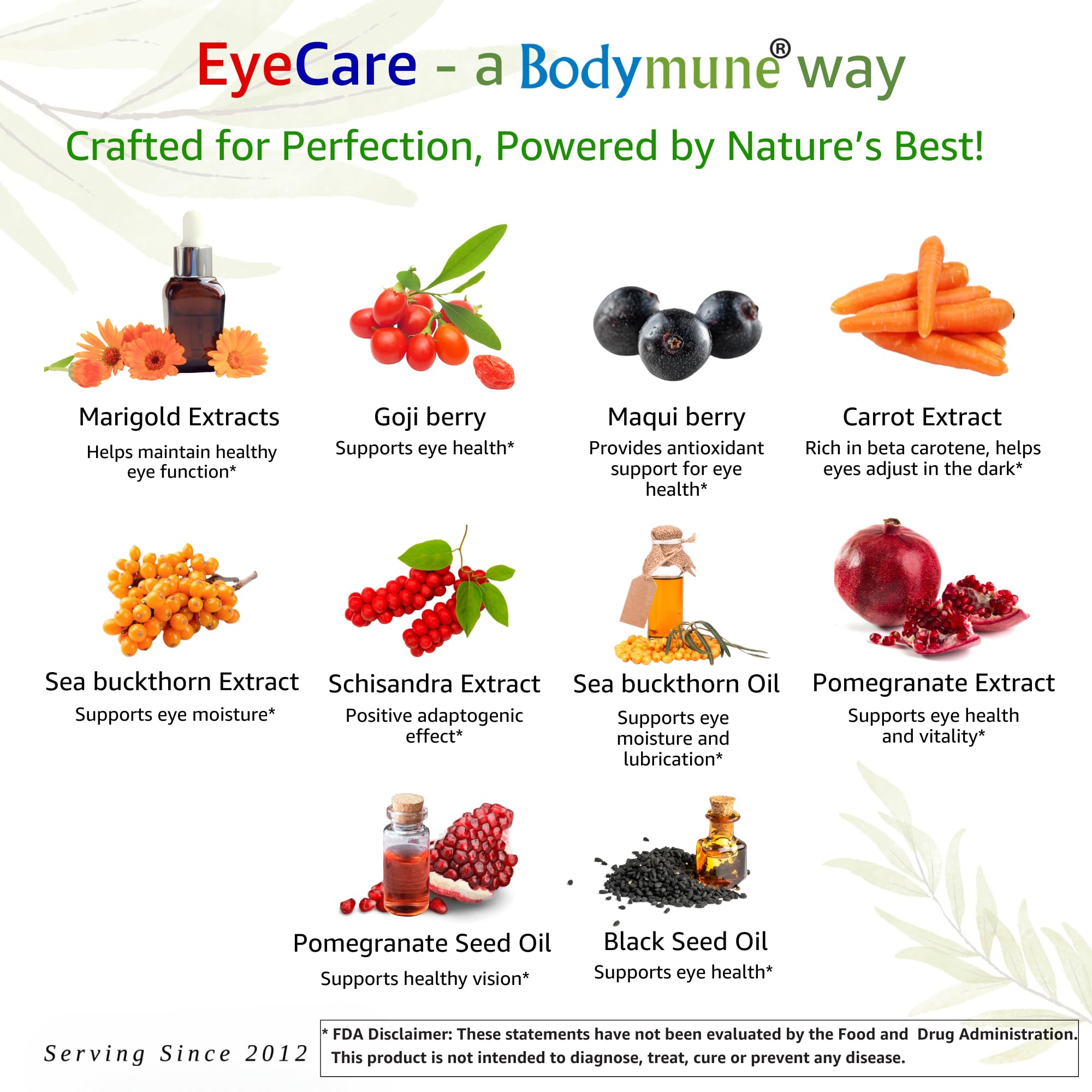 Bodymune EyeCare – extraits de carotte et maqui, soutiens nutritionnels visuels.