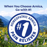 Plante d’arnica montana utilisée par Boiron.
