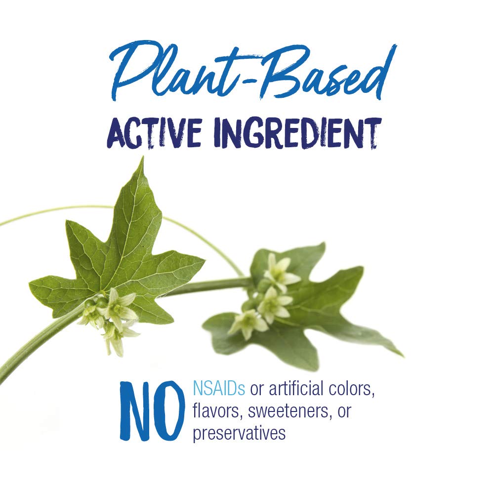 Boiron Bryonia 30C : formule sans colorants, arômes ni conservateurs.