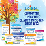 Bryonia 30c Boiron – soutient potentiel pour les muscles et les articulations.