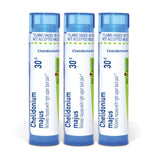 Boiron Chelidonium Majus 30C pellets en tube, format pratique pour usage quotidien.
