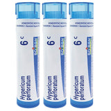 Boiron Hypericum perforatum 6c – pellets à dissolution rapide utilisés dès les premiers signes.