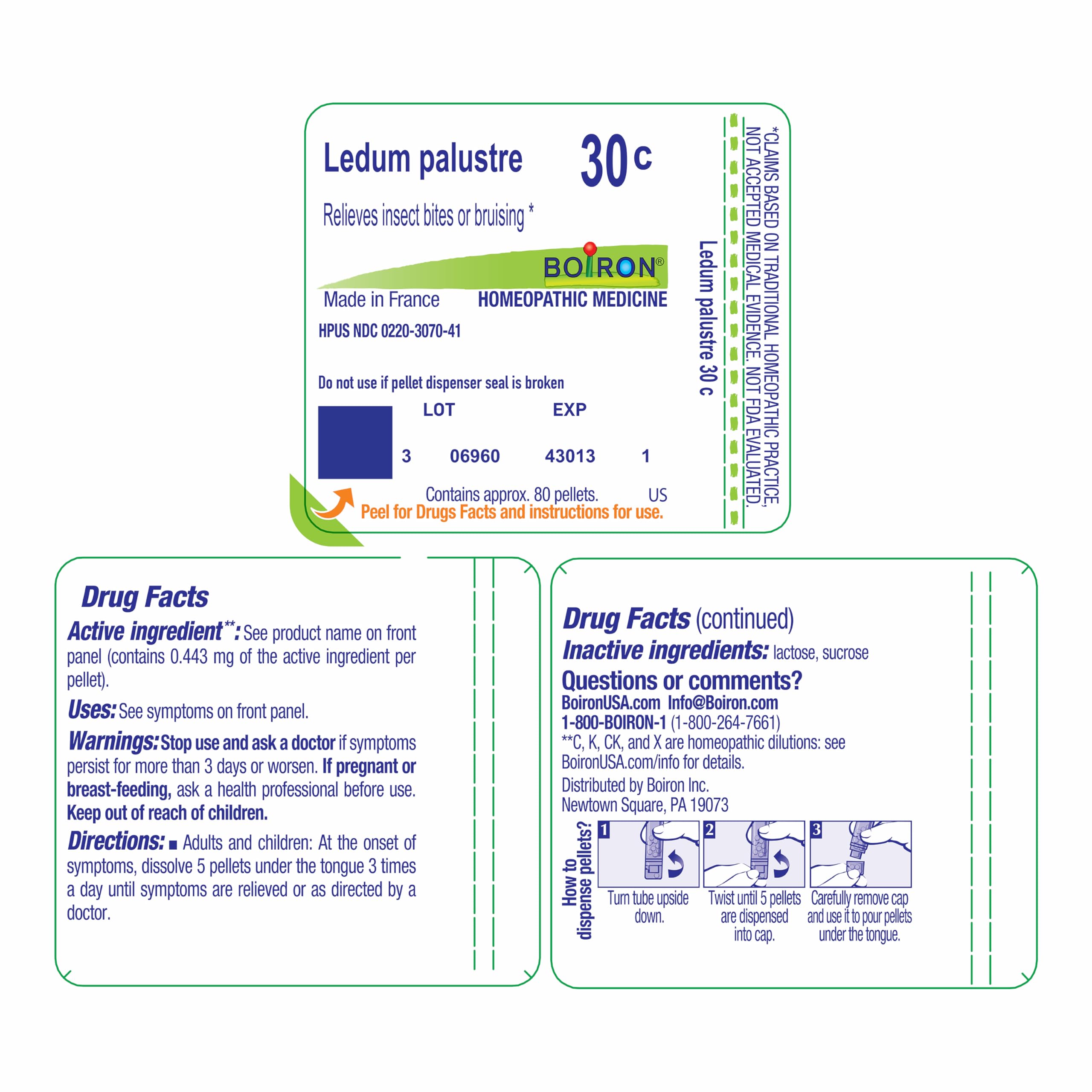 Remède végétal Ledum Palustre, pratique en déplacement