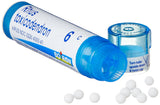 Boiron Rhus Toxicodendron 6C – flacons compacts, transport facile