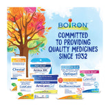 Utilisation en famille: Boiron Zincum Metallicum pour adultes et enfants.
